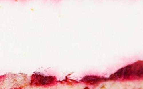 НАЧИНКА «ЧИЗКЕЙК БОСТОН»