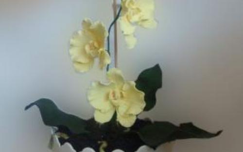 Сладкие шалости, торты на заказ - учителю