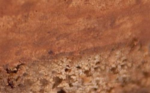 НАЧИНКА «ПАРИЖ-БРЕСТ»