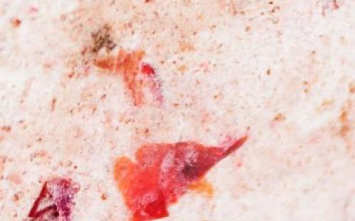 НАЧИНКА «ЛЕ ПОМ ДЕ ТЕР»