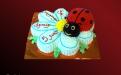 Детский торт Божья коровка и ромашка, Elit Cake, торты на заказ, Москва