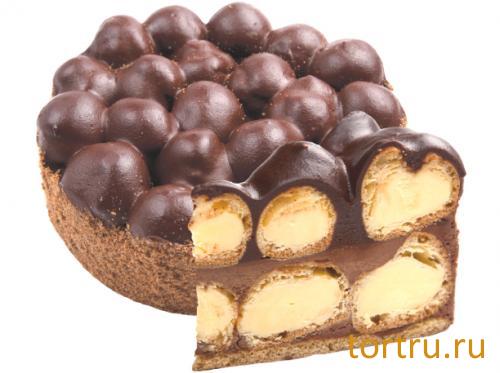 Торт "Профитроль", Кондитерский дом Александра Селезнева Торт "Профитроль", Кондитерский дом Александра Селезнева