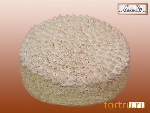 Торт "Тирамису", кондитерская Лаверна