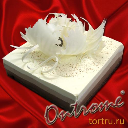 Торт "Трехслойный шоколадный", Онтроме, кафе-кондитерская, Санкт-Петербург