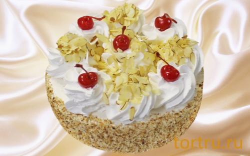 Торт "Венеция", Кондитерский комбинат Ходынка, Sweet Bakery