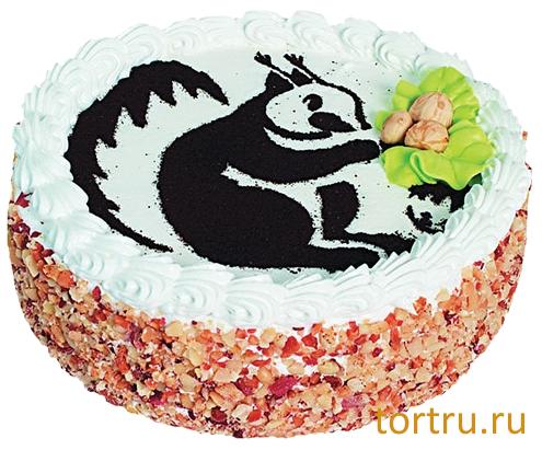 Торт "Белочка", кондитерская компания Господарь, Балашиха Торт "Белочка", кондитерская компания Господарь, Балашиха