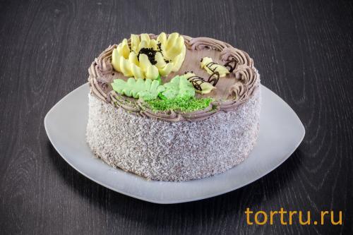 Торт "Пчелка взбитые сливки", "Кристалл" Пенза Торт "Пчелка взбитые сливки", "Кристалл" Пенза