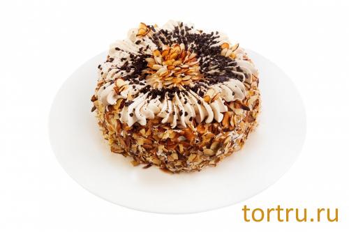 Торт "Элегия", Пятигорский хлебокомбинат Торт "Элегия", Пятигорский хлебокомбинат