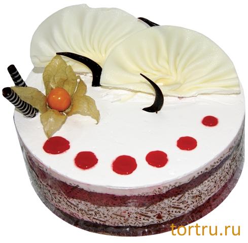 Торт "Бризе", кондитерская компания Господарь, Балашиха Торт "Бризе", кондитерская компания Господарь, Балашиха