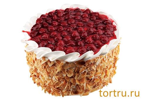 Торт "Маэстро", Фили Бейкер, Москва Торт "Маэстро", Фили Бейкер, Москва