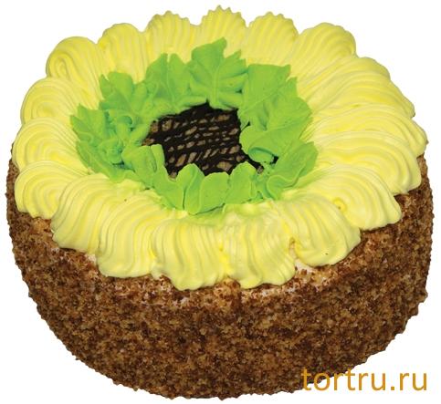 Торт "Славянка", кондитерская компания Господарь, Балашиха