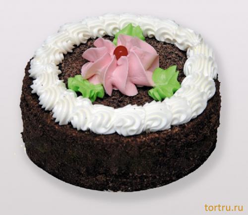 Торт "Сластена", Кондитерский цех Александра, Солнечногорск Торт "Сластена", Кондитерский цех Александра, Солнечногорск