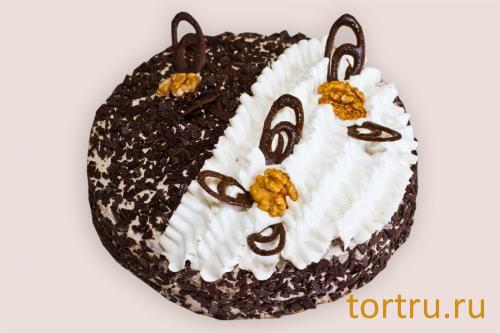 Торт "Трюфель", кондитерская Чайка, Калуга