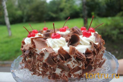 Торт "Пьяная Вишня", Лайтком, кондитерская, Москва Торт "Пьяная Вишня", Лайтком, кондитерская, Москва