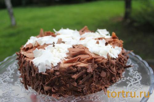 Торт "Разноцветный", Лайтком, кондитерская, Москва