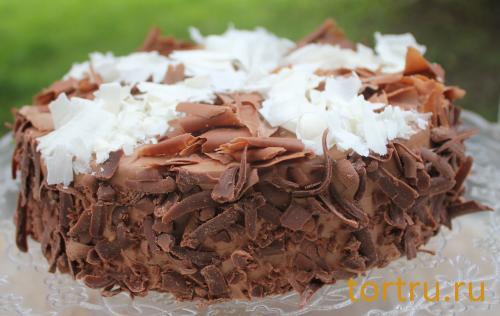 Торт "Разноцветный", Лайтком, кондитерская, Москва