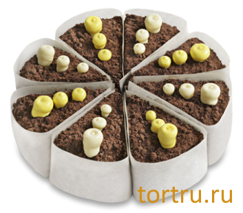 Торт "Южная ночь", Венский Цех фабрики Большевик, Москва Торт "Южная ночь", Венский Цех фабрики Большевик, Москва