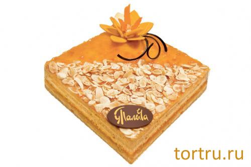 Торт "Медовый с курагой", У Палыча