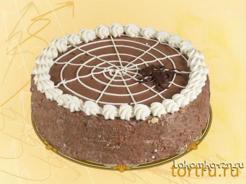 Торт "Паутинка", кондитерский цех Лакомка, Рязань Торт "Паутинка", кондитерский цех Лакомка, Рязань
