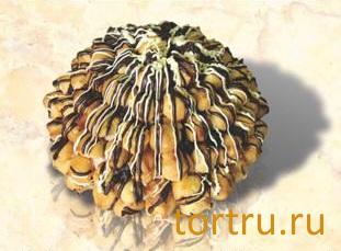 Торт "Турецкие сладости", Хлебокомбинат Кристалл Торт "Турецкие сладости", Хлебокомбинат Кристалл