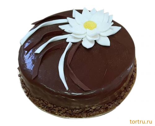 Торт "Опера", кондитерская DolceVita, Дмитров