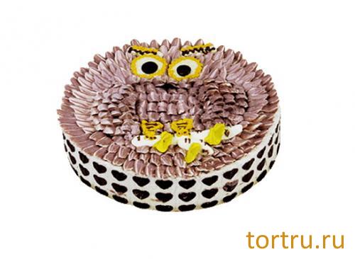 Торт "Сладкий зоопарк. Сова оригинальный", У Палыча