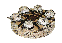 Торт "Блюз", Меркурий