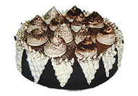 Торт "Тирамису", Меркурий