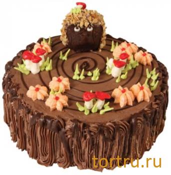 Торт "Лесная сказка", кондитерская компания Господарь, Балашиха Торт "Лесная сказка", кондитерская компания Господарь, Балашиха