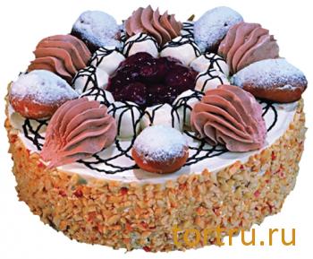 Торт "Кураж", кондитерская компания Господарь, Балашиха Торт "Кураж", кондитерская компания Господарь, Балашиха