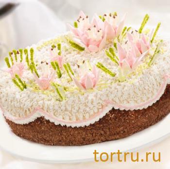 Торт "Сад Вероники", Черемушки