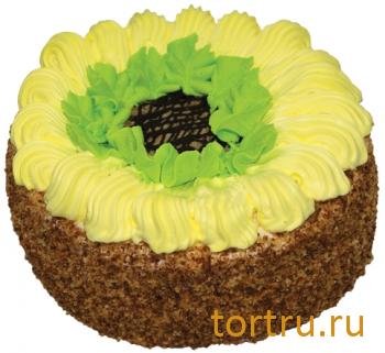 Торт "Славянка", кондитерская компания Господарь, Балашиха Торт "Славянка", кондитерская компания Господарь, Балашиха