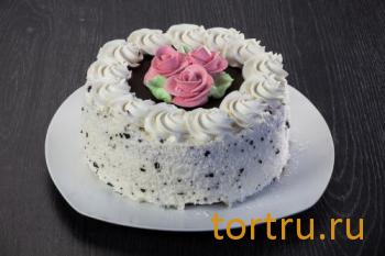 Торт "Птичка-невеличка", "Кристалл" Пенза Торт "Птичка-невеличка", "Кристалл" Пенза