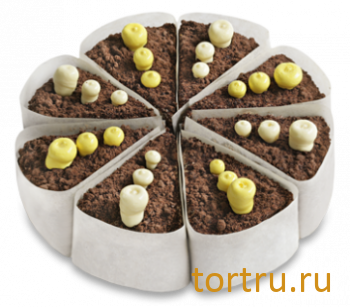 Торт "Южная ночь", Венский Цех фабрики Большевик, Москва