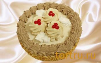 Торт "Пчелка Мадонна", Кондитерский комбинат Ходынка, Sweet Bakery