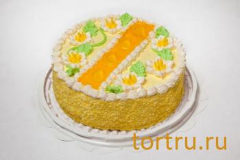 Торт "Синопский", кондитерская компания Господарь, Балашиха Торт "Синопский", кондитерская компания Господарь, Балашиха