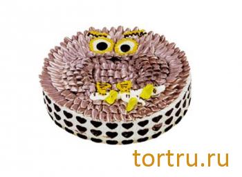 Торт "Сладкий зоопарк. Сова оригинальный", У Палыча